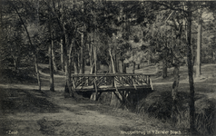 16282 Gezicht op het knuppelbruggetje met omringende naaldbomen in het Zeister Bosch te Zeist.